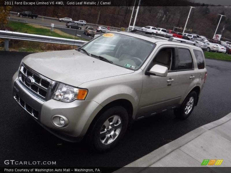Gold Leaf Metallic / Camel 2011 Ford Escape Limited V6 4WD