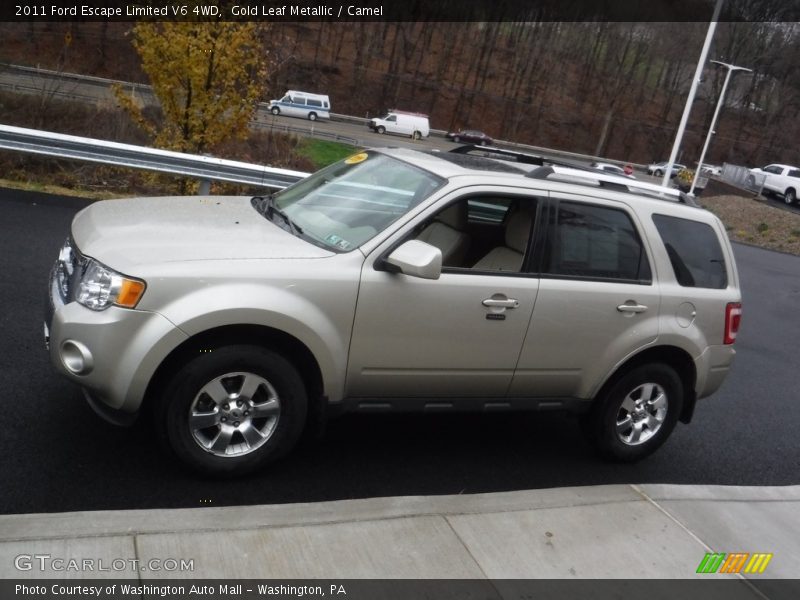 Gold Leaf Metallic / Camel 2011 Ford Escape Limited V6 4WD