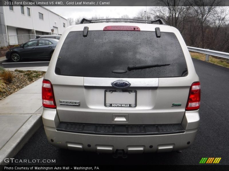 Gold Leaf Metallic / Camel 2011 Ford Escape Limited V6 4WD