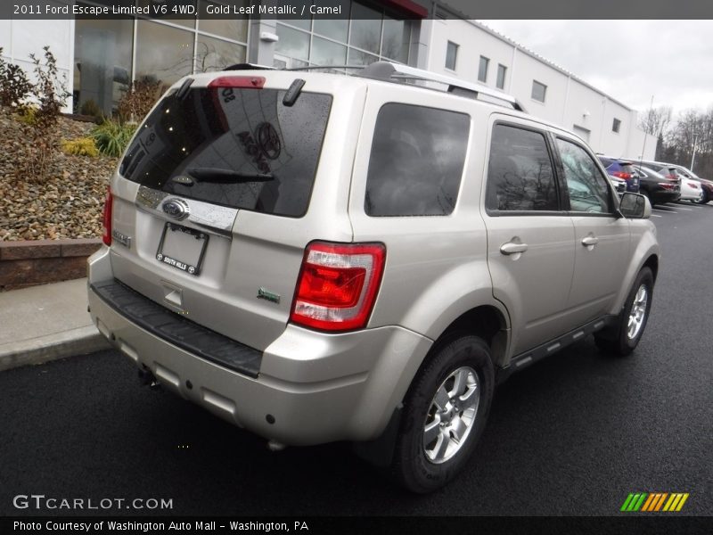 Gold Leaf Metallic / Camel 2011 Ford Escape Limited V6 4WD