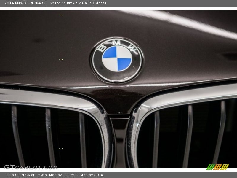 Sparkling Brown Metallic / Mocha 2014 BMW X5 sDrive35i