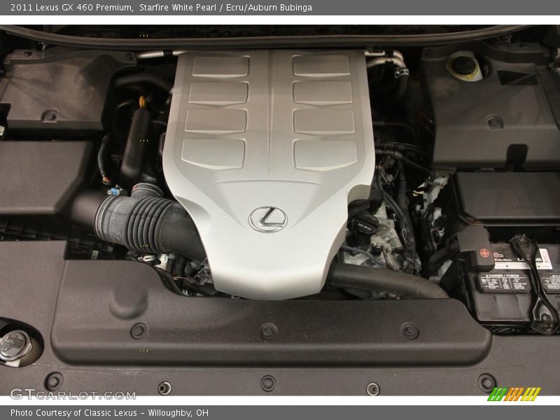 Starfire White Pearl / Ecru/Auburn Bubinga 2011 Lexus GX 460 Premium
