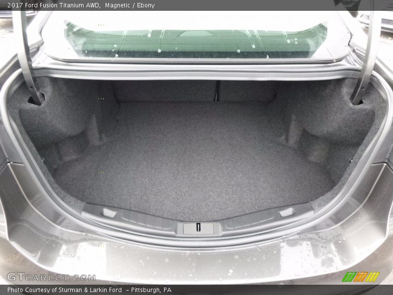 Magnetic / Ebony 2017 Ford Fusion Titanium AWD