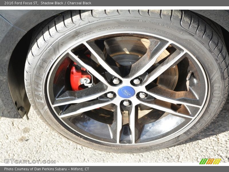 Shadow Black / Charcoal Black 2016 Ford Focus ST