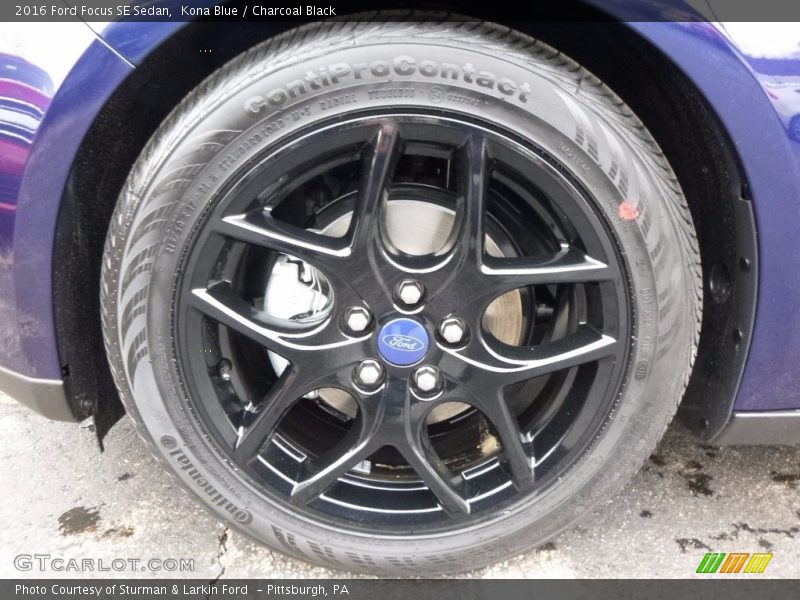 Kona Blue / Charcoal Black 2016 Ford Focus SE Sedan