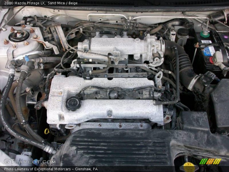Sand Mica / Beige 2000 Mazda Protege LX