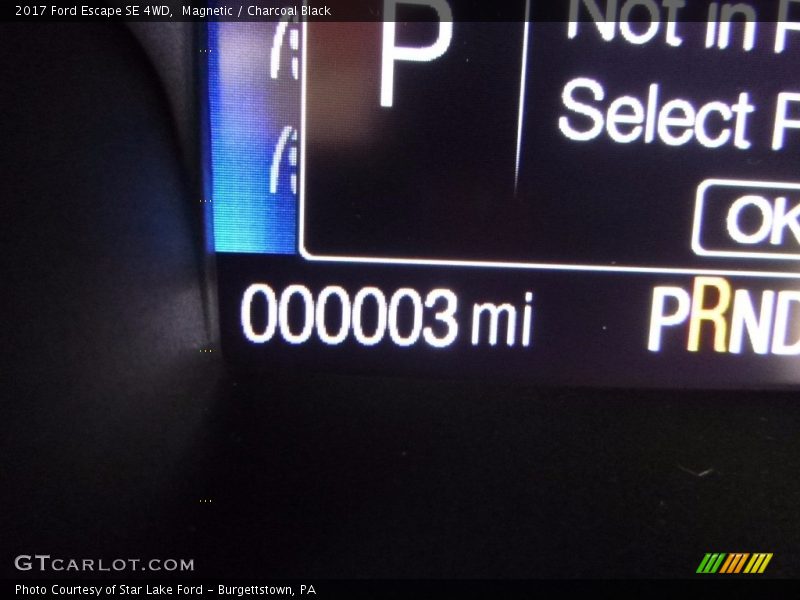 Magnetic / Charcoal Black 2017 Ford Escape SE 4WD