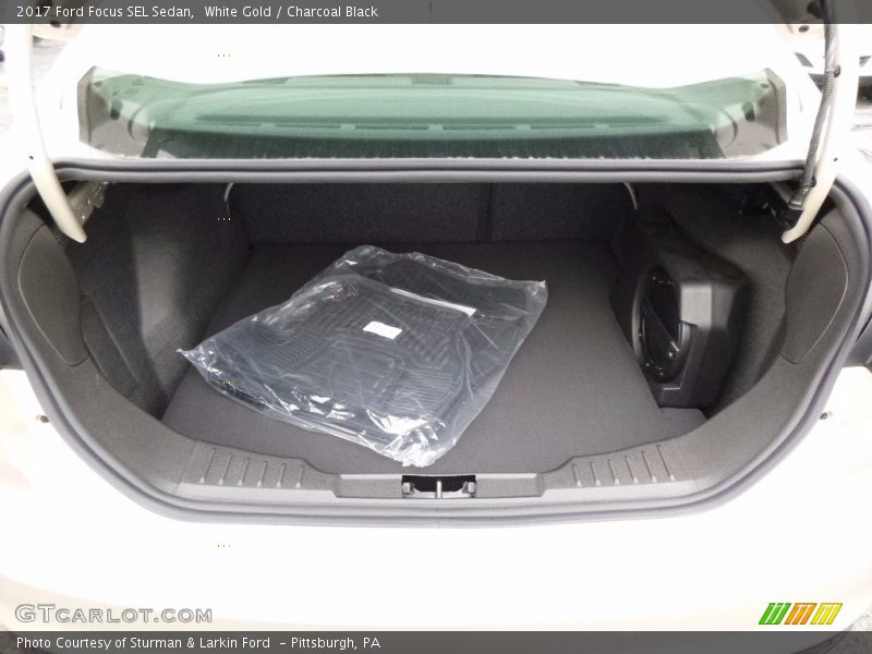 White Gold / Charcoal Black 2017 Ford Focus SEL Sedan