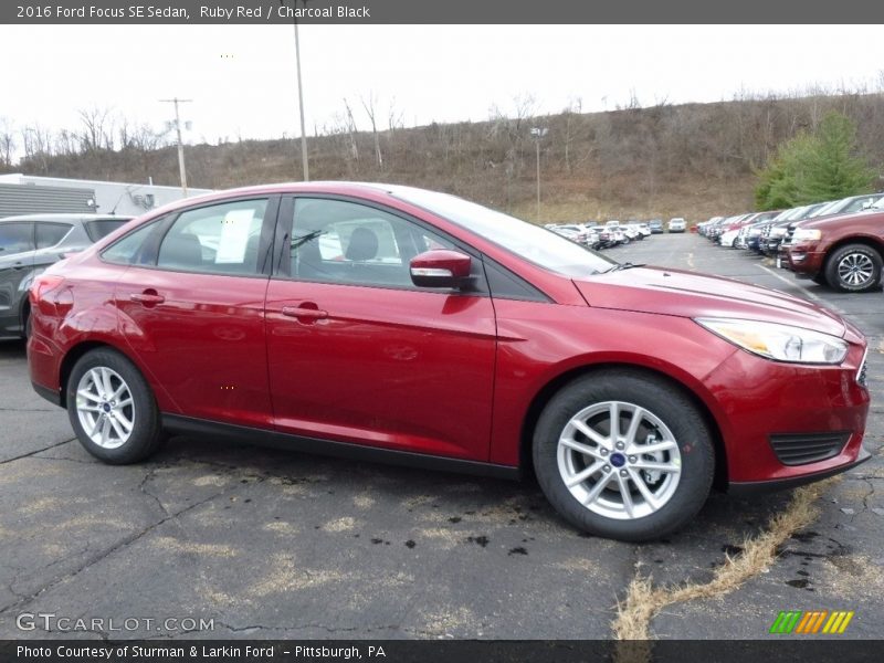 Ruby Red / Charcoal Black 2016 Ford Focus SE Sedan