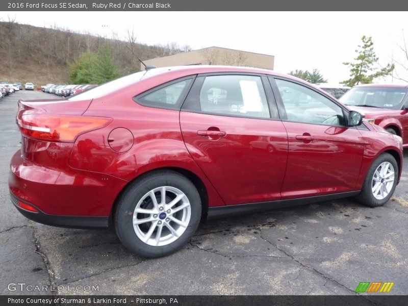 Ruby Red / Charcoal Black 2016 Ford Focus SE Sedan