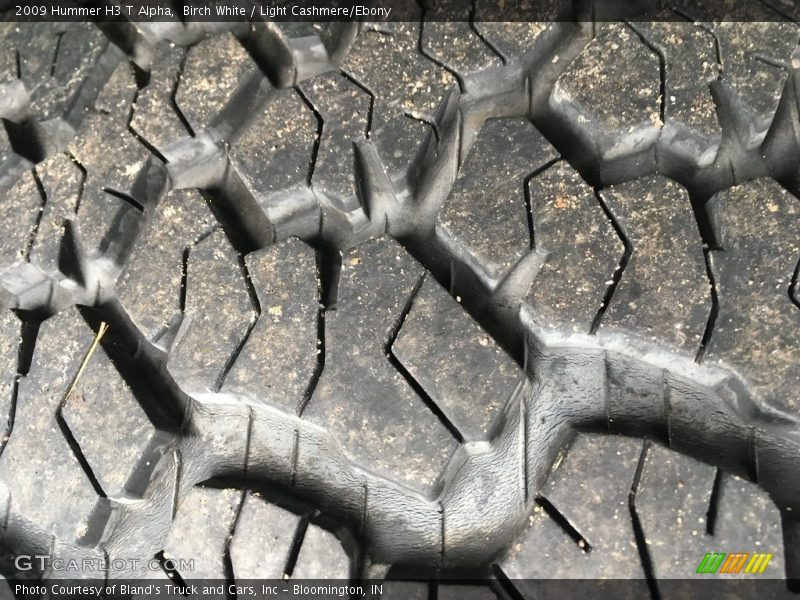 Birch White / Light Cashmere/Ebony 2009 Hummer H3 T Alpha