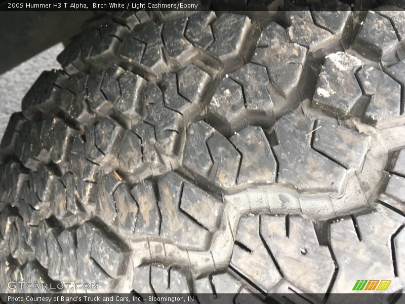 Birch White / Light Cashmere/Ebony 2009 Hummer H3 T Alpha