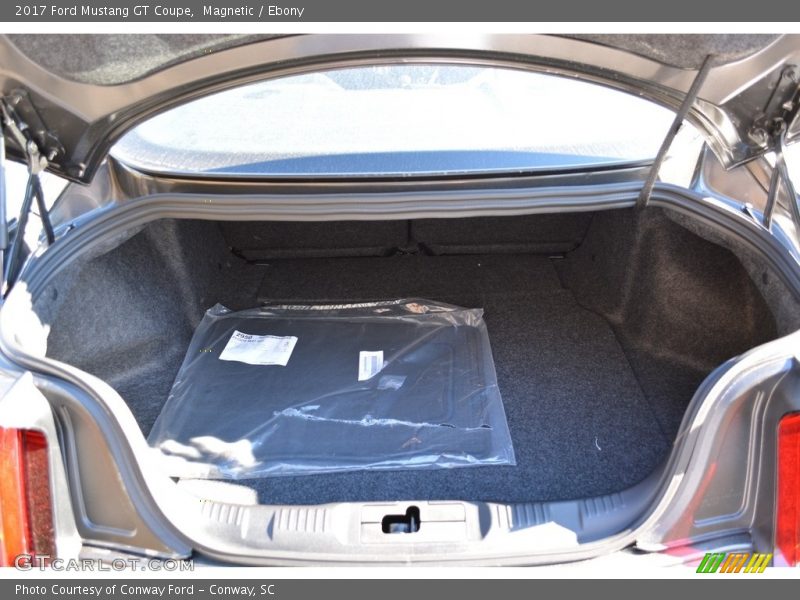 Magnetic / Ebony 2017 Ford Mustang GT Coupe