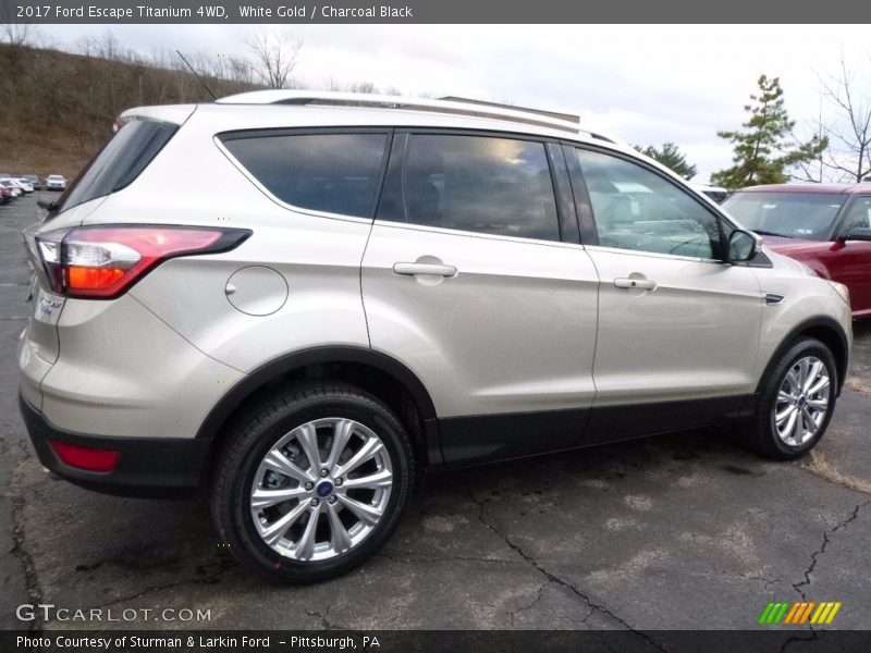 White Gold / Charcoal Black 2017 Ford Escape Titanium 4WD