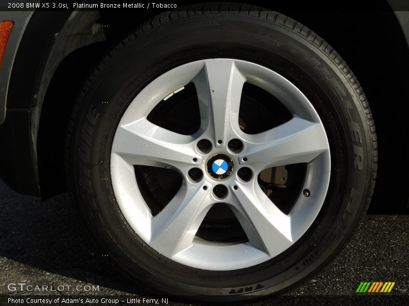 Platinum Bronze Metallic / Tobacco 2008 BMW X5 3.0si