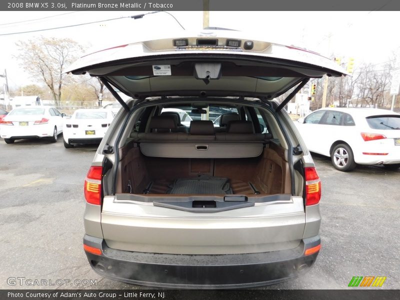 Platinum Bronze Metallic / Tobacco 2008 BMW X5 3.0si