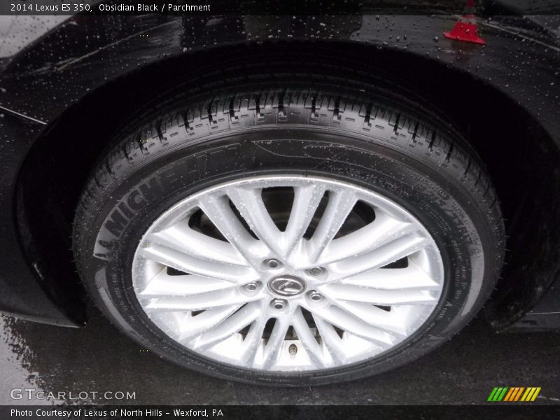 Obsidian Black / Parchment 2014 Lexus ES 350