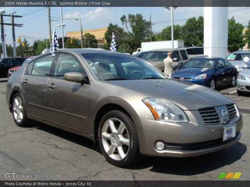 Spirited Bronze / Frost Gray 2004 Nissan Maxima 3.5 SE