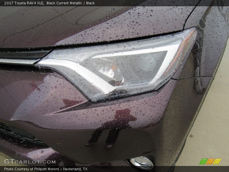 Black Current Metallic / Black 2017 Toyota RAV4 XLE