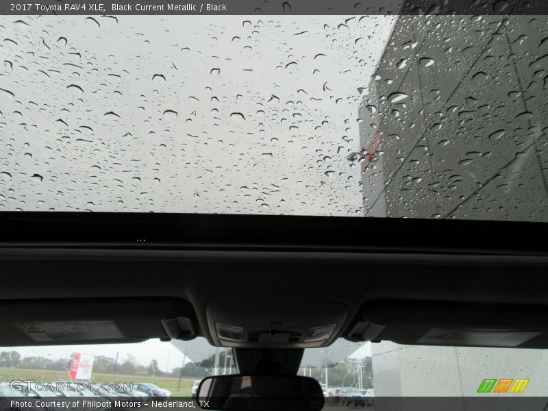 Black Current Metallic / Black 2017 Toyota RAV4 XLE