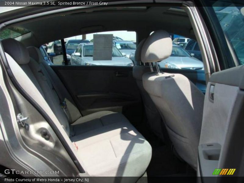 Spirited Bronze / Frost Gray 2004 Nissan Maxima 3.5 SE