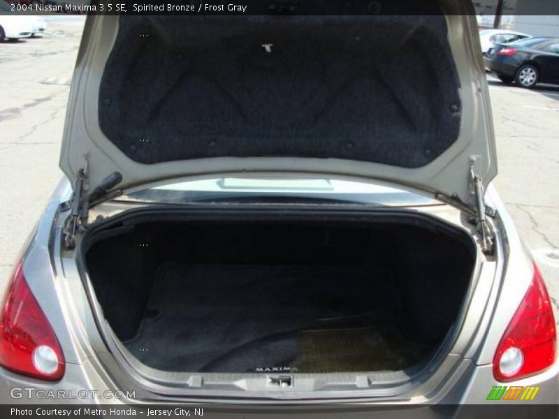 Spirited Bronze / Frost Gray 2004 Nissan Maxima 3.5 SE