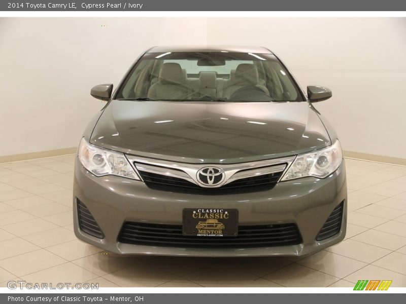 Cypress Pearl / Ivory 2014 Toyota Camry LE
