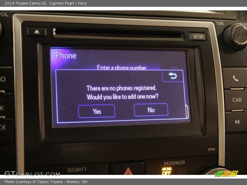 Cypress Pearl / Ivory 2014 Toyota Camry LE