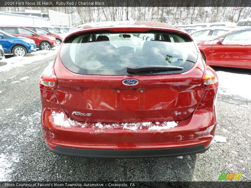 Ruby Red / Charcoal Black 2016 Ford Focus SE Hatch
