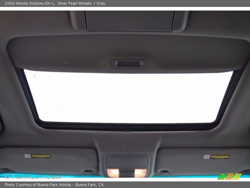 Silver Pearl Metallic / Gray 2009 Honda Odyssey EX-L