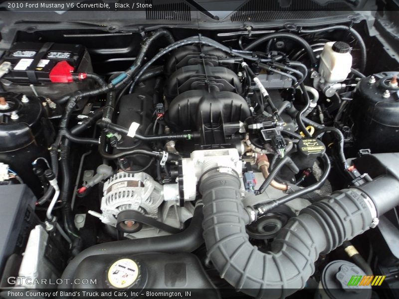 Black / Stone 2010 Ford Mustang V6 Convertible