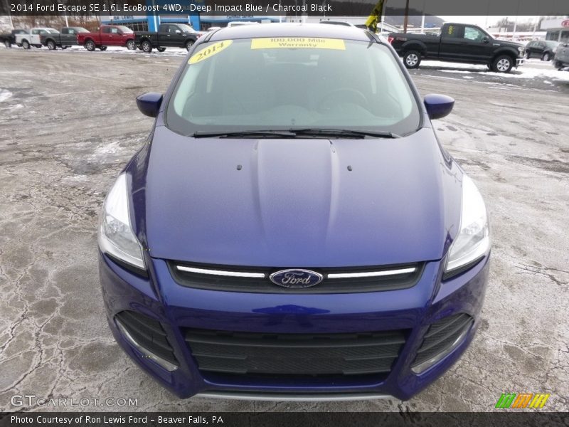 Deep Impact Blue / Charcoal Black 2014 Ford Escape SE 1.6L EcoBoost 4WD