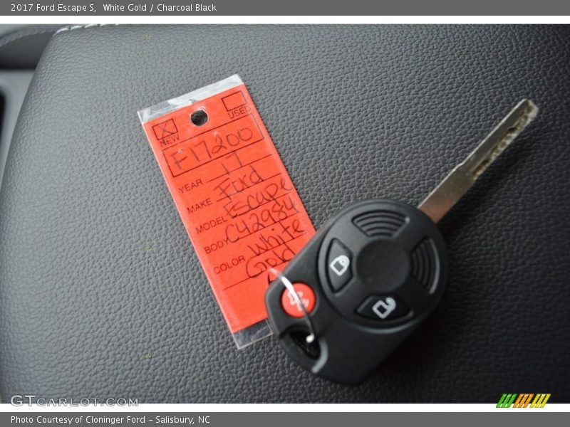 White Gold / Charcoal Black 2017 Ford Escape S