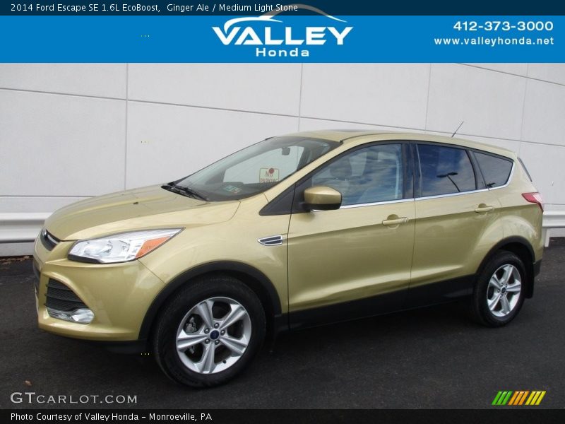 Ginger Ale / Medium Light Stone 2014 Ford Escape SE 1.6L EcoBoost
