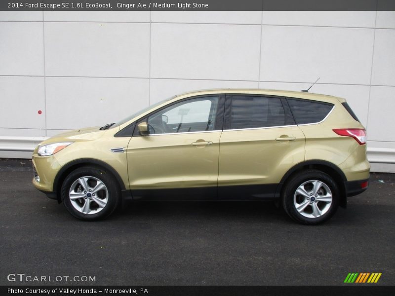Ginger Ale / Medium Light Stone 2014 Ford Escape SE 1.6L EcoBoost