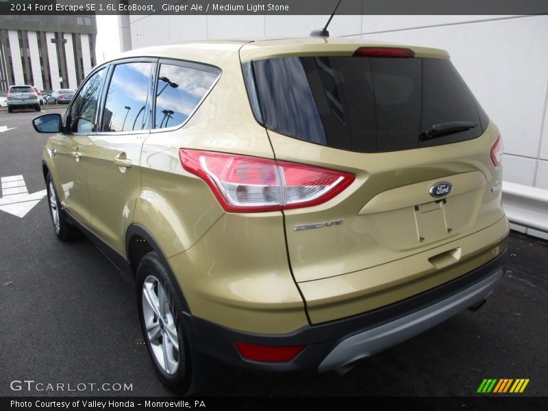 Ginger Ale / Medium Light Stone 2014 Ford Escape SE 1.6L EcoBoost