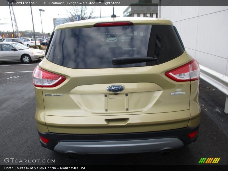 Ginger Ale / Medium Light Stone 2014 Ford Escape SE 1.6L EcoBoost
