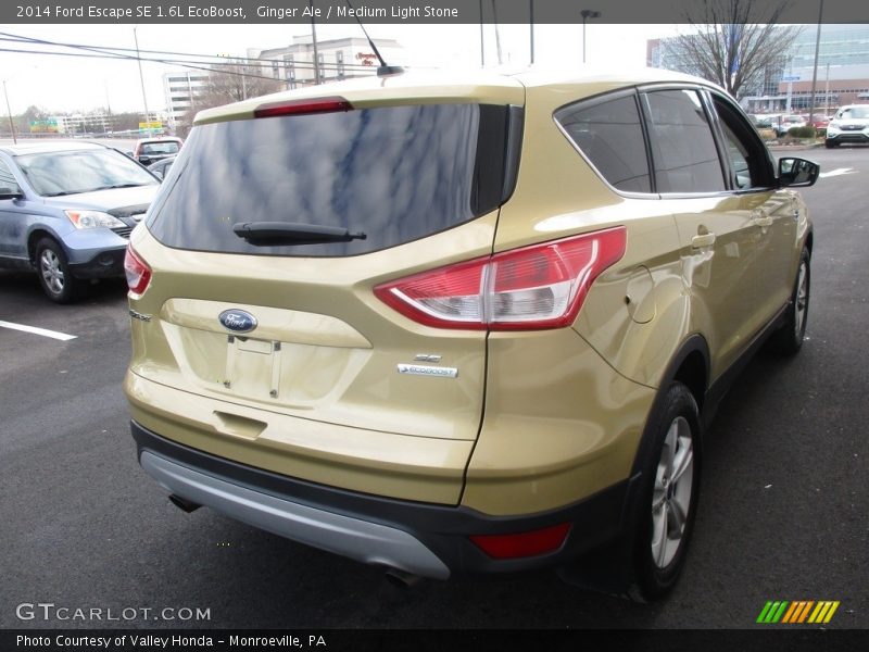 Ginger Ale / Medium Light Stone 2014 Ford Escape SE 1.6L EcoBoost