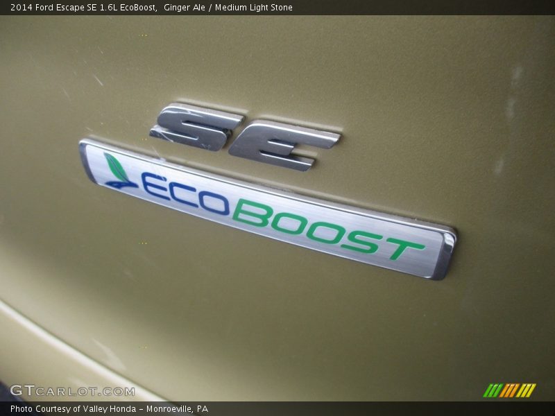 Ginger Ale / Medium Light Stone 2014 Ford Escape SE 1.6L EcoBoost
