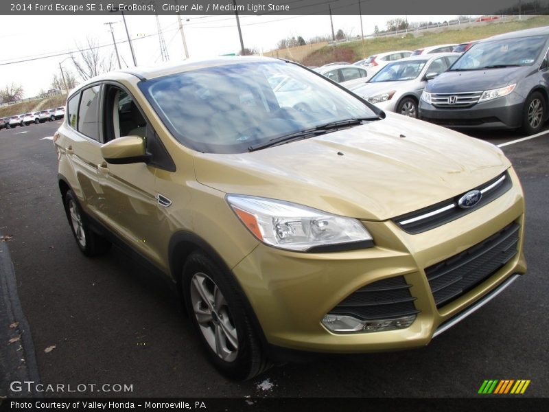 Ginger Ale / Medium Light Stone 2014 Ford Escape SE 1.6L EcoBoost