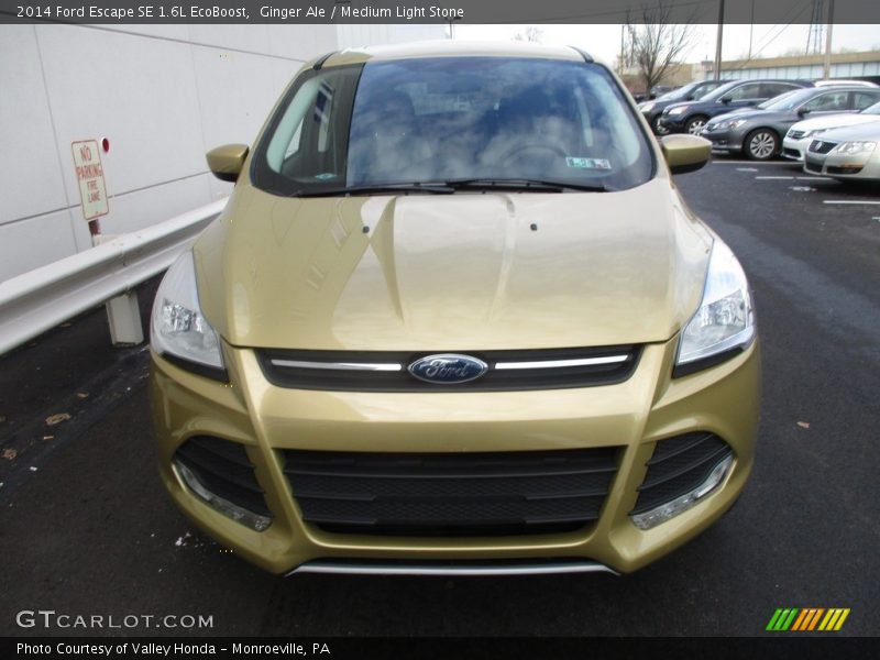 Ginger Ale / Medium Light Stone 2014 Ford Escape SE 1.6L EcoBoost