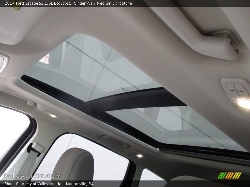 Ginger Ale / Medium Light Stone 2014 Ford Escape SE 1.6L EcoBoost
