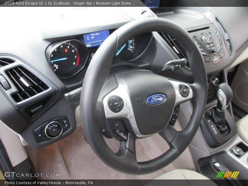 Ginger Ale / Medium Light Stone 2014 Ford Escape SE 1.6L EcoBoost