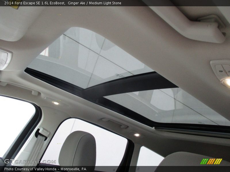 Ginger Ale / Medium Light Stone 2014 Ford Escape SE 1.6L EcoBoost