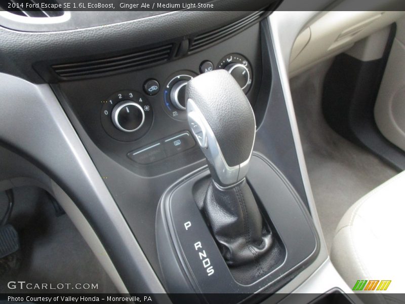 Ginger Ale / Medium Light Stone 2014 Ford Escape SE 1.6L EcoBoost