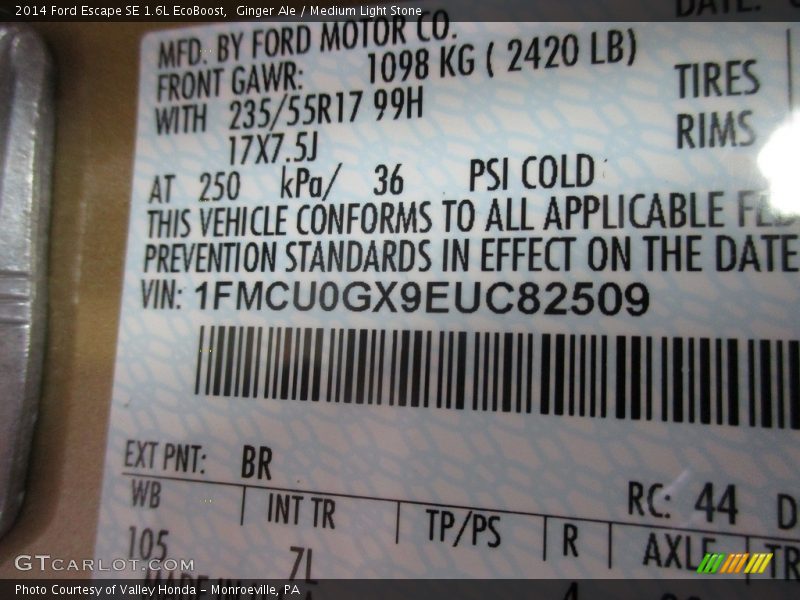 Ginger Ale / Medium Light Stone 2014 Ford Escape SE 1.6L EcoBoost