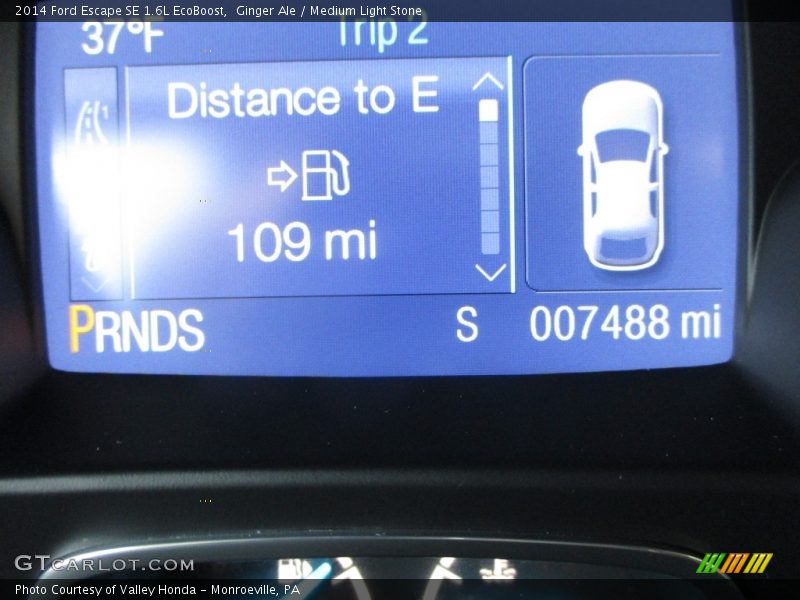 Ginger Ale / Medium Light Stone 2014 Ford Escape SE 1.6L EcoBoost