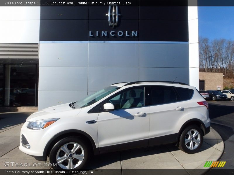 White Platinum / Charcoal Black 2014 Ford Escape SE 1.6L EcoBoost 4WD