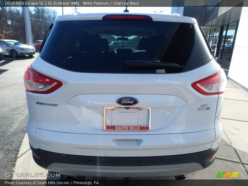 White Platinum / Charcoal Black 2014 Ford Escape SE 1.6L EcoBoost 4WD