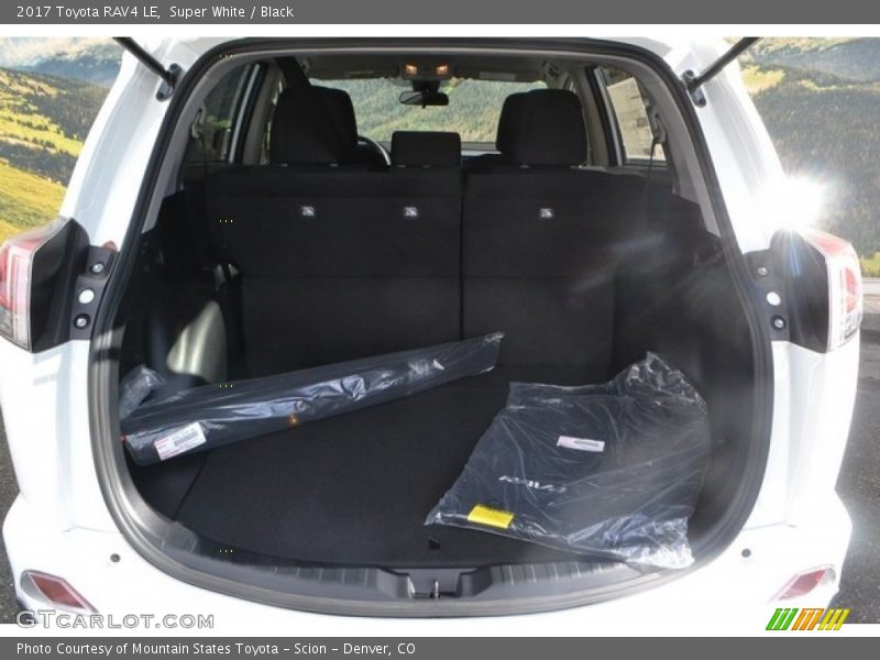 Super White / Black 2017 Toyota RAV4 LE